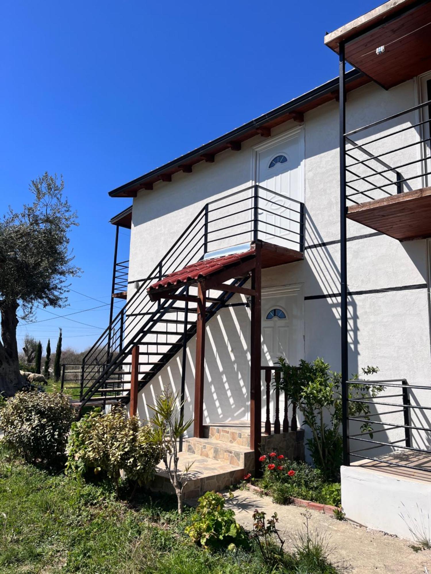 Vila Ari Borsh Exterior foto